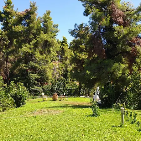 Sani Forest House Holiday home