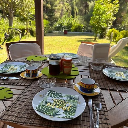 펜션 Sani Forest House Sani (Chalkidiki)