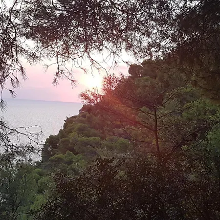 Σπίτι διακοπών Sani Forest House *