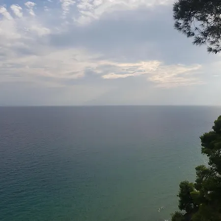 Sani Forest House Σπίτι διακοπών Παραλία Σάνη