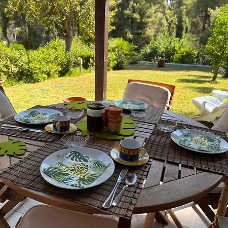 Sani Forest House