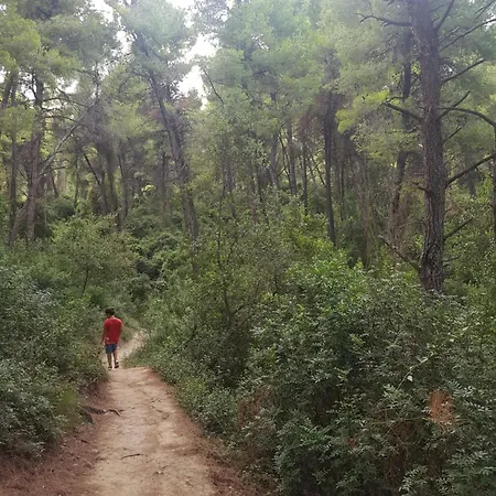 Sani Forest House Παραλία Σάνη