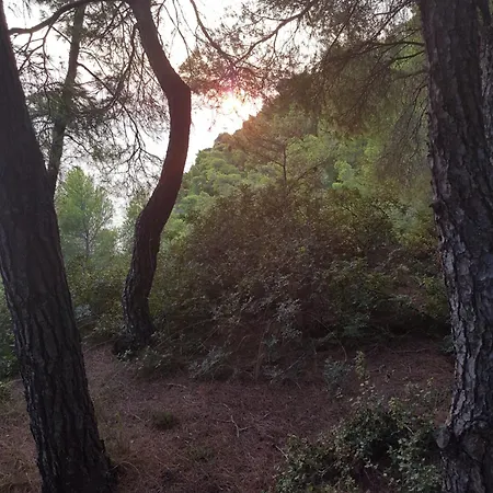 Sani Forest House