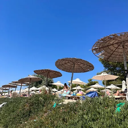 Case de vacanță Sani Forest House