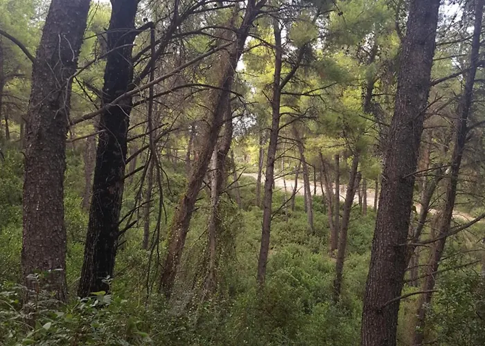 Nyaraló Sani Forest House Száni-part