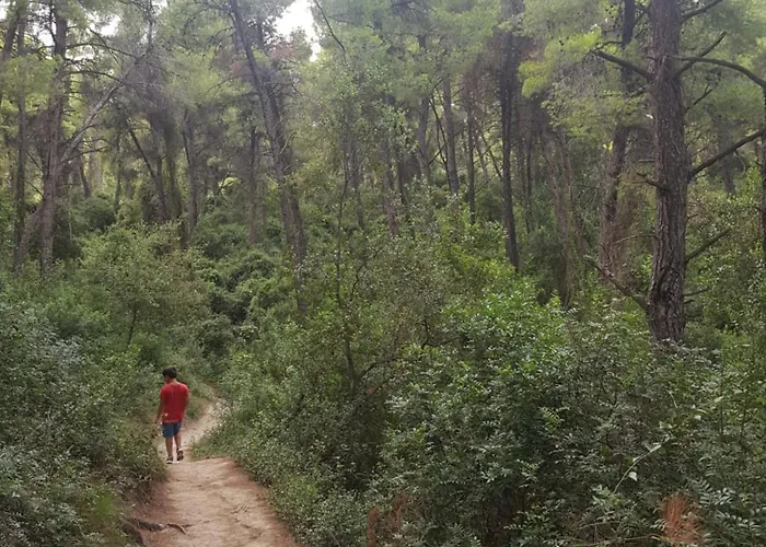 Sani Forest House Száni-part