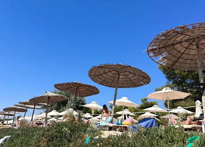 Nyaraló Sani Forest House