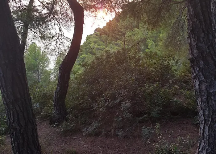 Sani Forest House